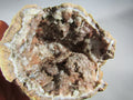 Quartz Druzy Geode – Energy Magnification, Psychic Clarity & Aura Protection [ALC451]