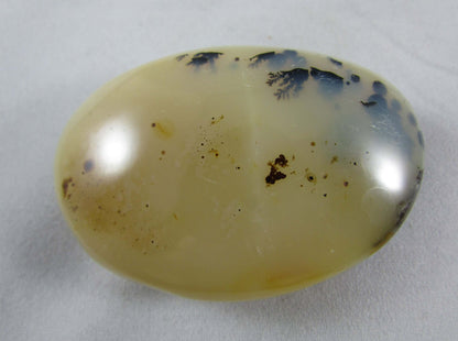 tree agate, natural polished agate crytsal palmstone