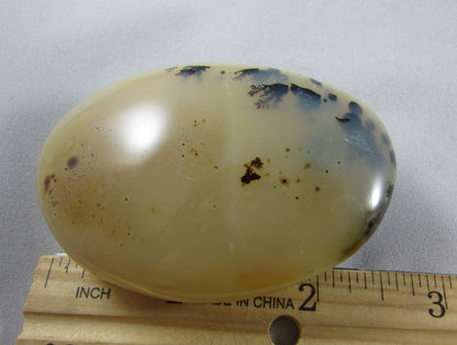 tree agate, natural polished agate crytsal palmstone